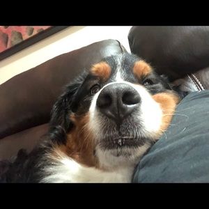 Meet your Posher, Janelle